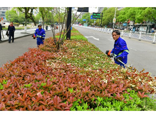 杭州市政园林绿化服务中心