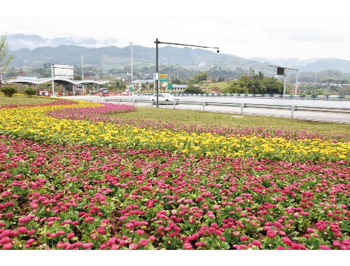 兴城道路绿化工程公司电话